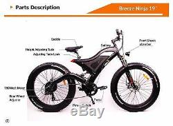 Breeze Ninja Fat Tire Electric Mountain Bike 750W, 48V, 10.4ah battery, Free Ship