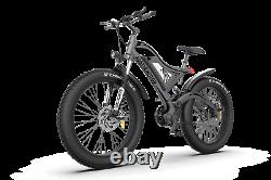 GLW Electric Mountain Bike 750W 48V Samsung Battery Fat Tire Full Suspension S18