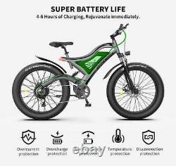 GLW Electric Mountain Bike 750W 48V Samsung Battery Fat Tire Full Suspension S18